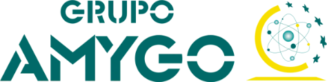 Grupo Amygo — Red internacional de logística y mudanzas